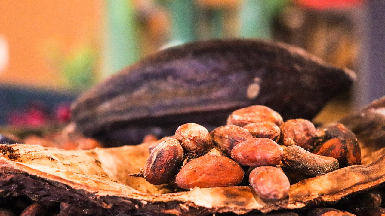 Long Liquidation and Elevated ICE Inventories Weigh on Cocoa Prices
