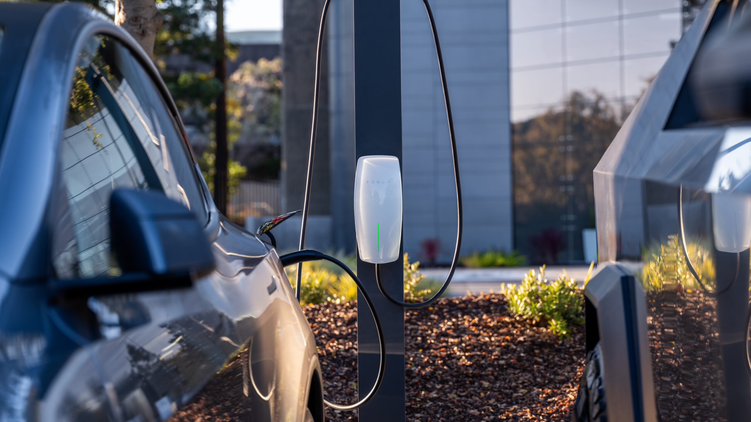 Tesla launches Robotaxi operations in Miami amid growing competition